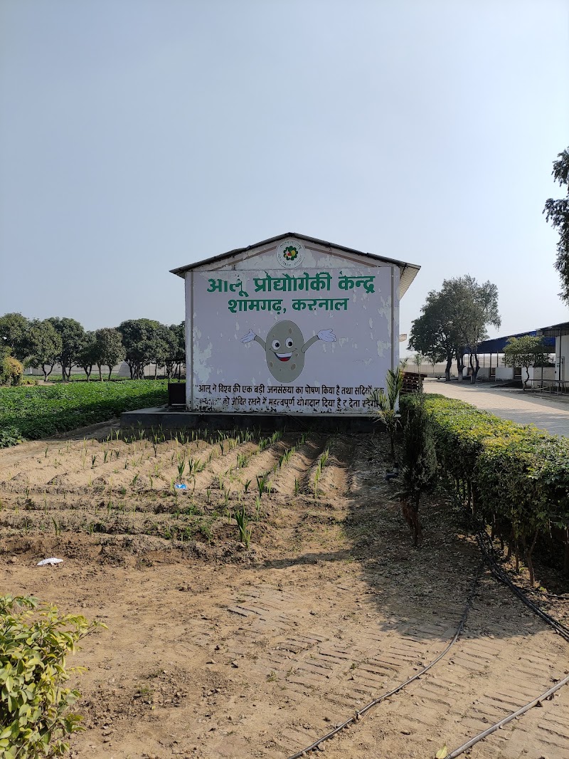 Potato Technology Centre - Potato Technology Centre Ramba Road, Shamgarh, National Highway 1, Karnal, Haryana 132116, India
