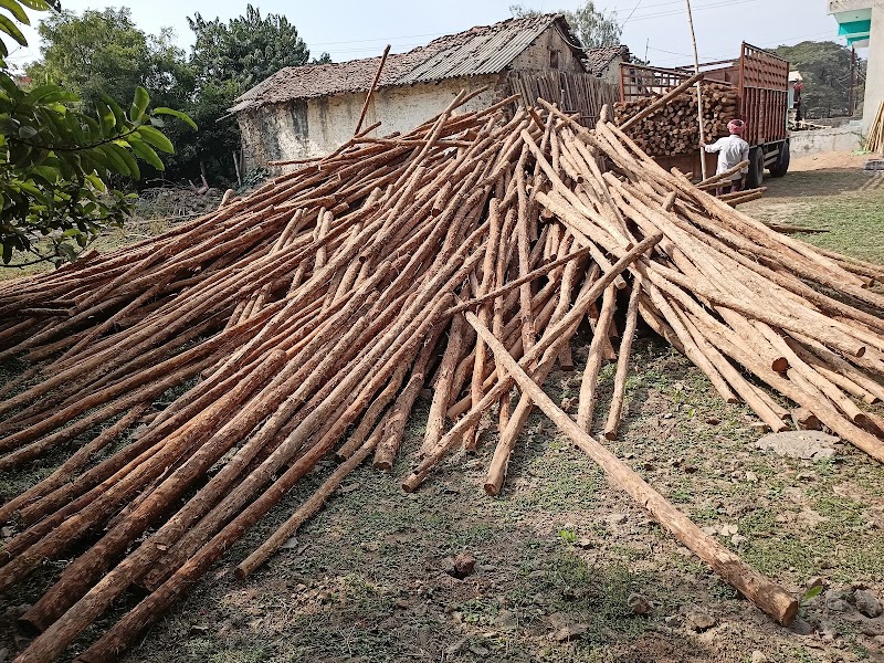 Shukla lakdi bans taal & plywood - Shukla lakdi bans taal & plywood, X33F+4F4, Bilha, Chhattisgarh 495224, India