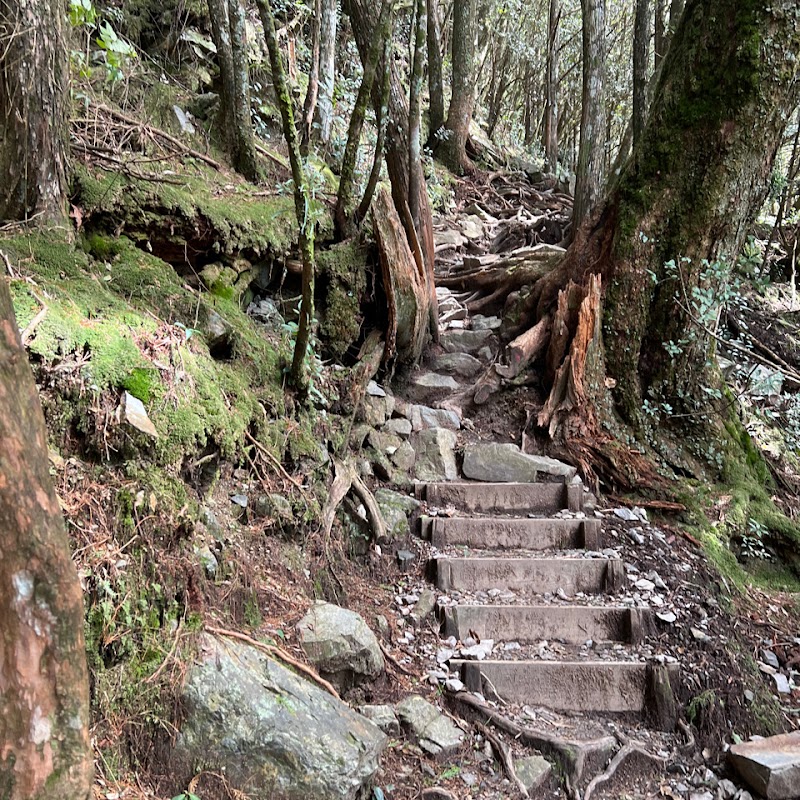 Eight Immortals Mountain - Eight Immortals Mountain, Heping District, Taichung City, Taiwan 424