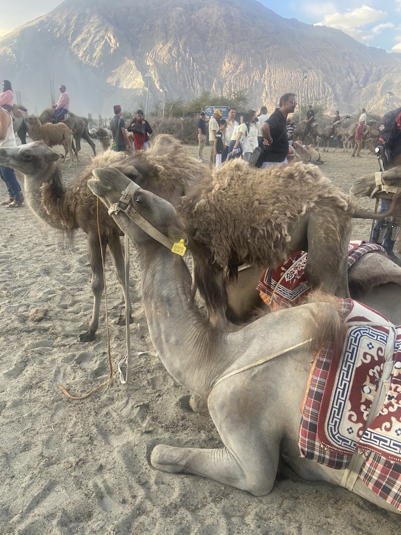 Hunder ,Nubra Leh Ladakh