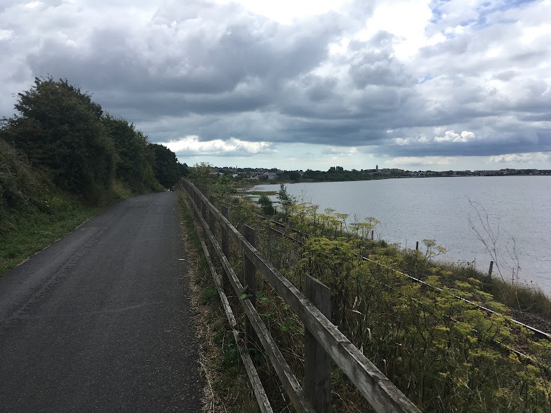 River Exe - River Exe, United Kingdom