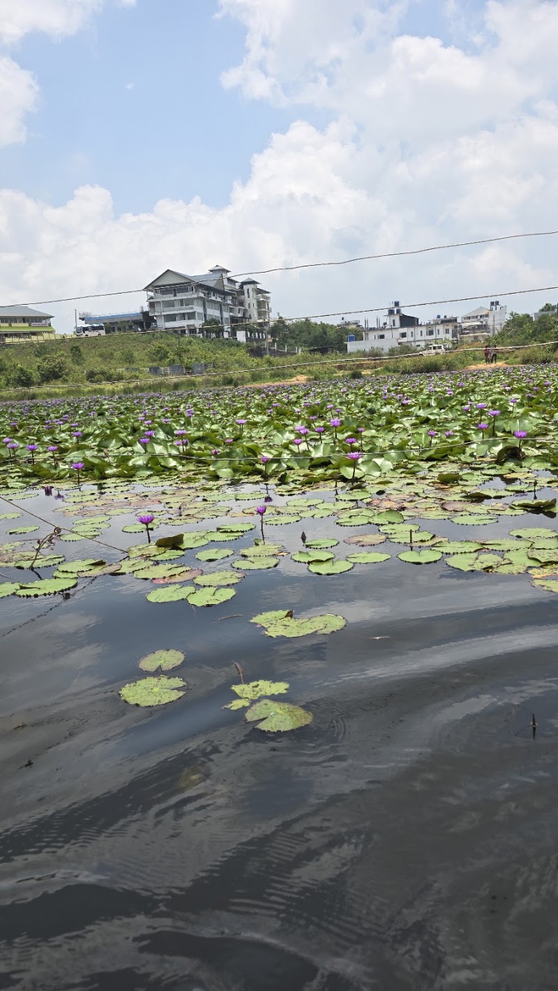 Meadows Lake Boating - Meadows Lake Boating MW99+PVC, Vagamon, Kolahalamedu, Keralam 685501, India