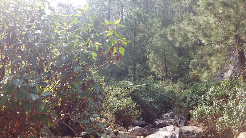 Rudradhari Waterfall - Rudradhari Waterfall RHX4+R95, Kantali, Someshwar Range, Uttarakhand 263639, India