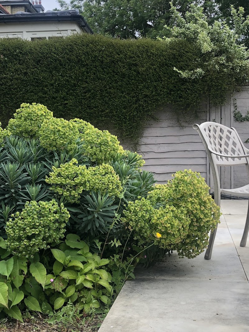 The English Garden Design - The English Garden Design, 5 Hampton Rd, Twickenham TW2 5QE, UK