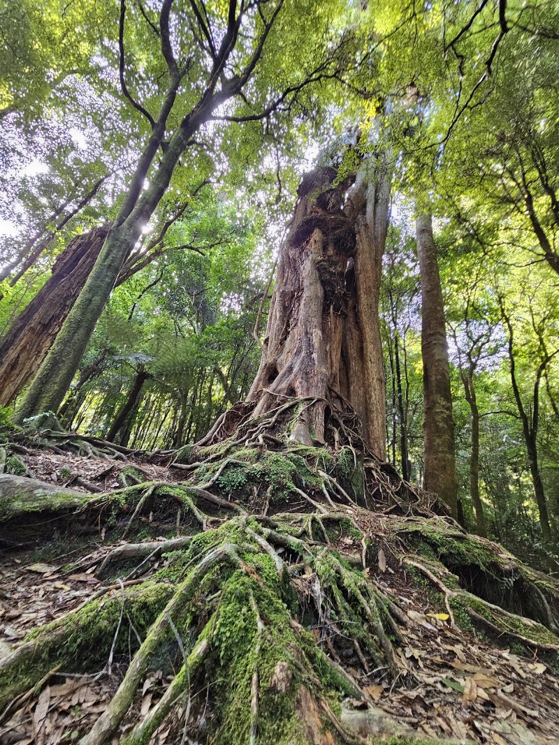 Kaitoke Regional Park - Kaitoke Regional Park, Kaitoke, Upper Hutt 5372, New Zealand