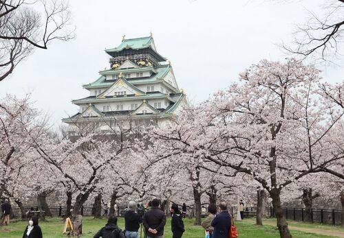 Osaka Castle Park - Osaka Castle Park Osakajo, Chuo Ward, Osaka, 540-0002, Japan
