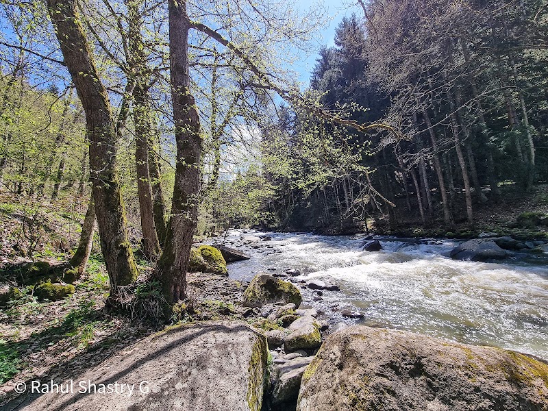 Borjomi & Kharagauli National Park - Borjomi & Kharagauli National Park, V66F+3JV, Kvabiskhevi, Georgia