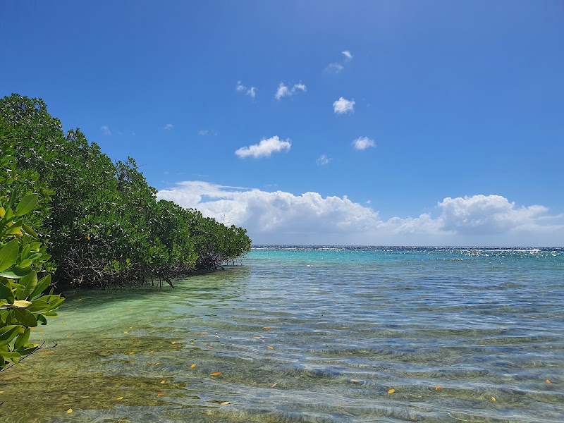 Savaneta Beach