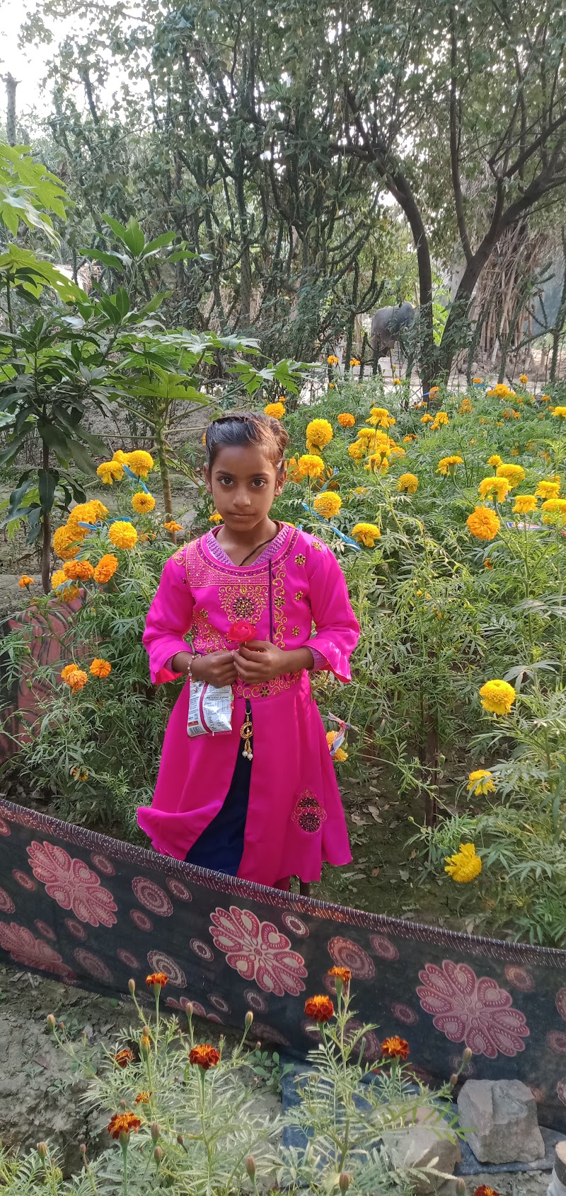 Ban - Ban, Uttar Pradesh, India