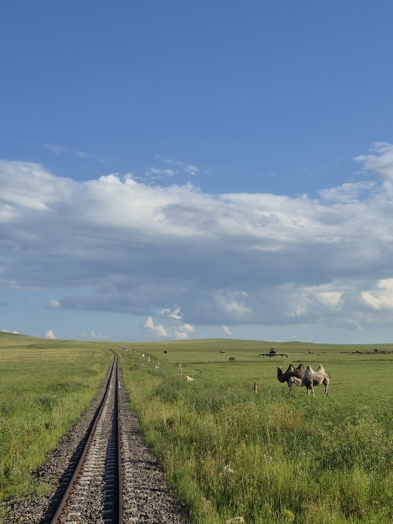 呼伦贝尔大草原 - 呼伦贝尔大草原, 3XP9+338, New Barag Left Banner, Hulunbuir, Inner Mongolia, China, 021211