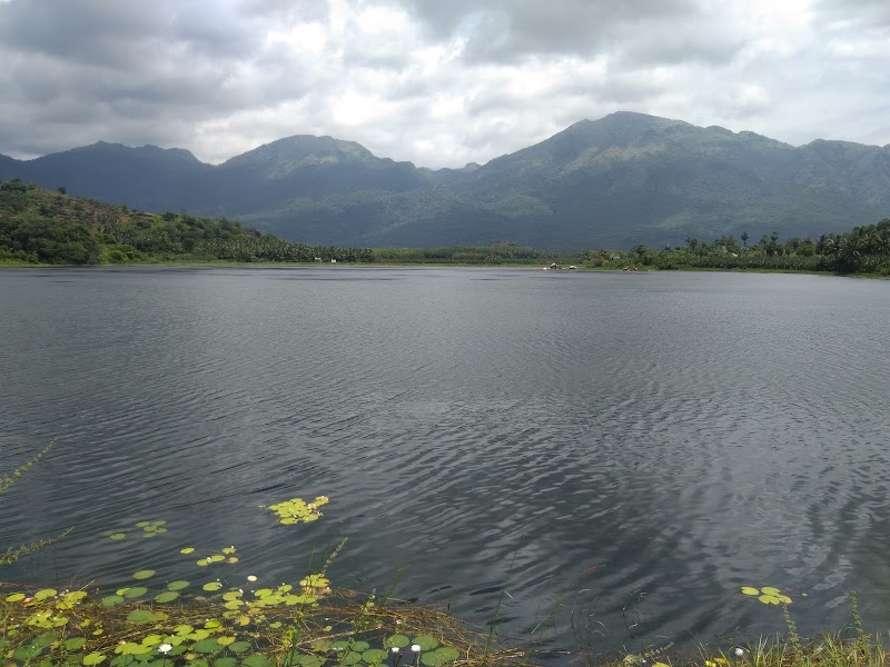 Laya Homestay - Laya Homestay, Suryanelli, Kerala 685618, India