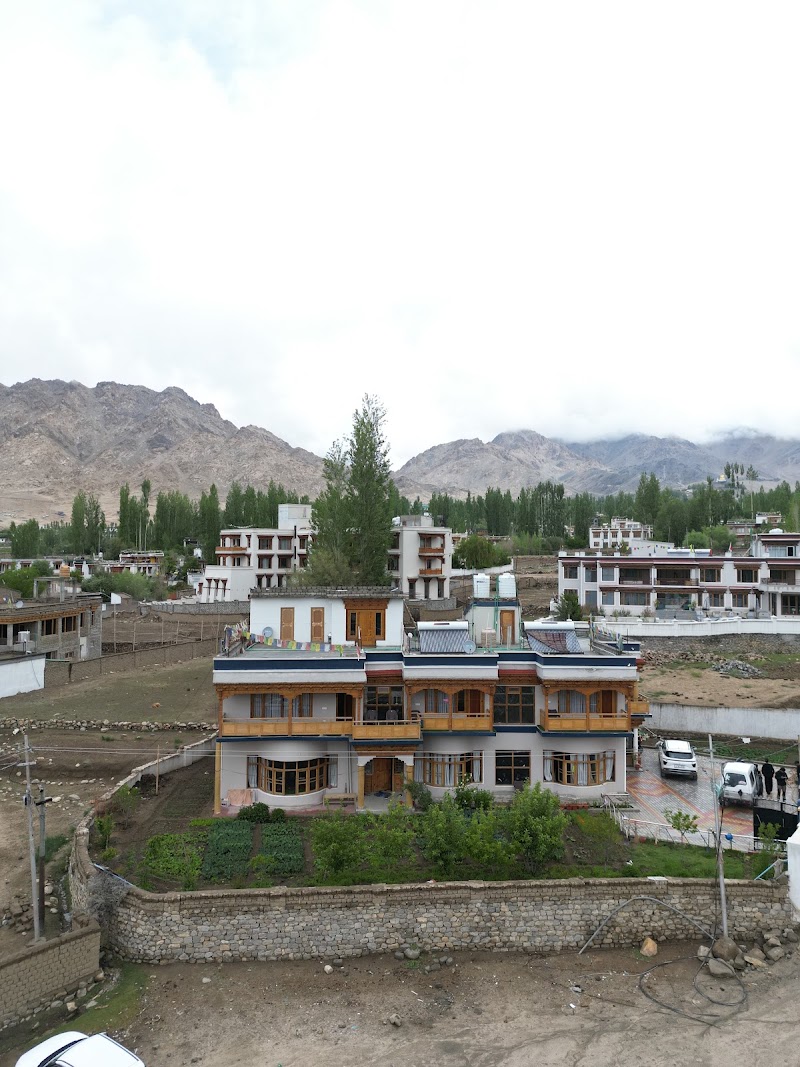 Borgo villa - Borgo villa Khakshal road, near Lamdon school, Leh, 194101