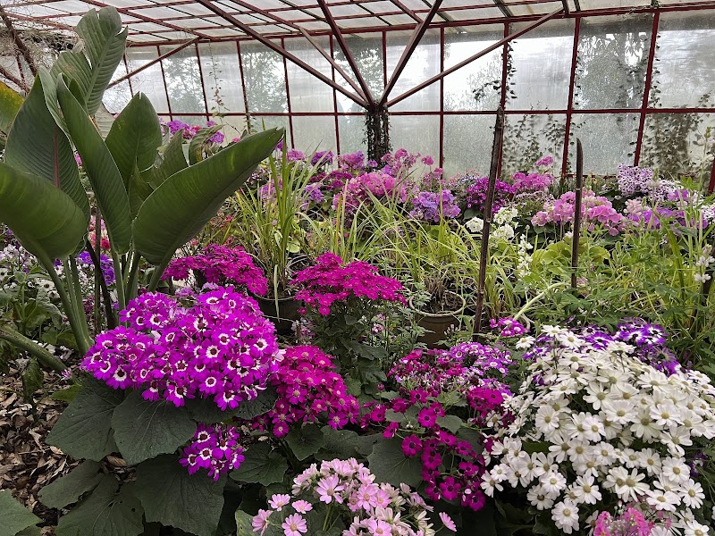 Botanical Nursery - Botanical Nursery 9J6H+767, Gangtok, Sikkim 737103, India