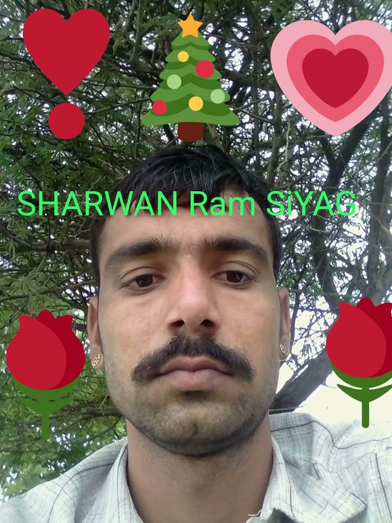SHARWAN RAM SIYAG - SHARWAN RAM SIYAG, Shyamsar, Rajasthan 341002, India
