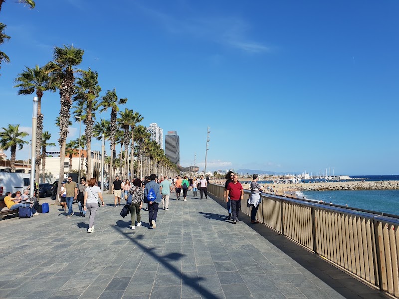 Barceloneta Beach - Barceloneta Beach Barceloneta Beach, Spain