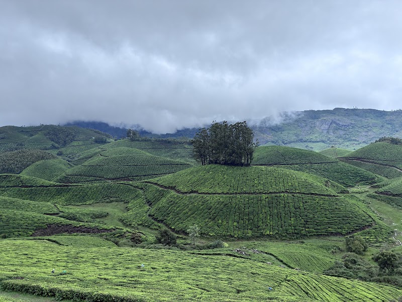 Iris Holidays Kerala