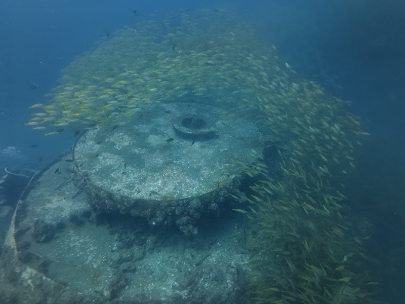 Phi Phi Barakuda Scuba - Dive Center, Diving Phi Phi Island - Phi Phi Barakuda Scuba - Dive Center, Diving Phi Phi Island PQRF+49Q, Ko Phi Phi Don, ตำบล อ่าวนาง อำเภอเมืองกระบี่ กระบี่ 81000, Thailand