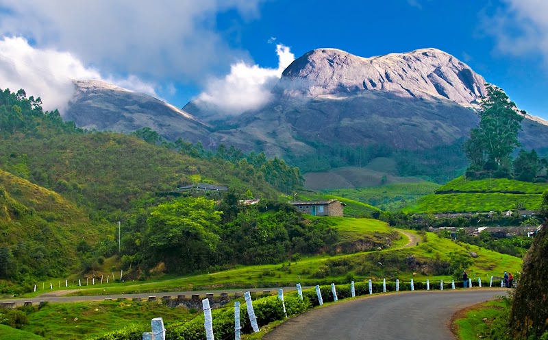 We Well Holidays - We Well Holidays Green Cove Resorts Near Sengulam Dam Anachal, Munnar, Kerala 685565, India