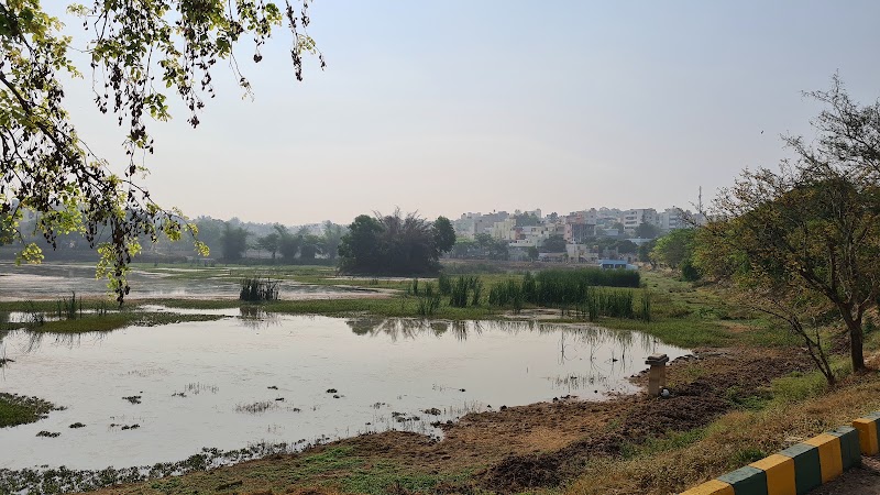 Doddakallasandra Lake - Doddakallasandra Lake Near 4th Cross, 100 Feet, Doclors Colony Main Rd, Naryananagar 3rd Block, Doddakallasandra, Konanakunte, Bengaluru, Karnataka 560062, India