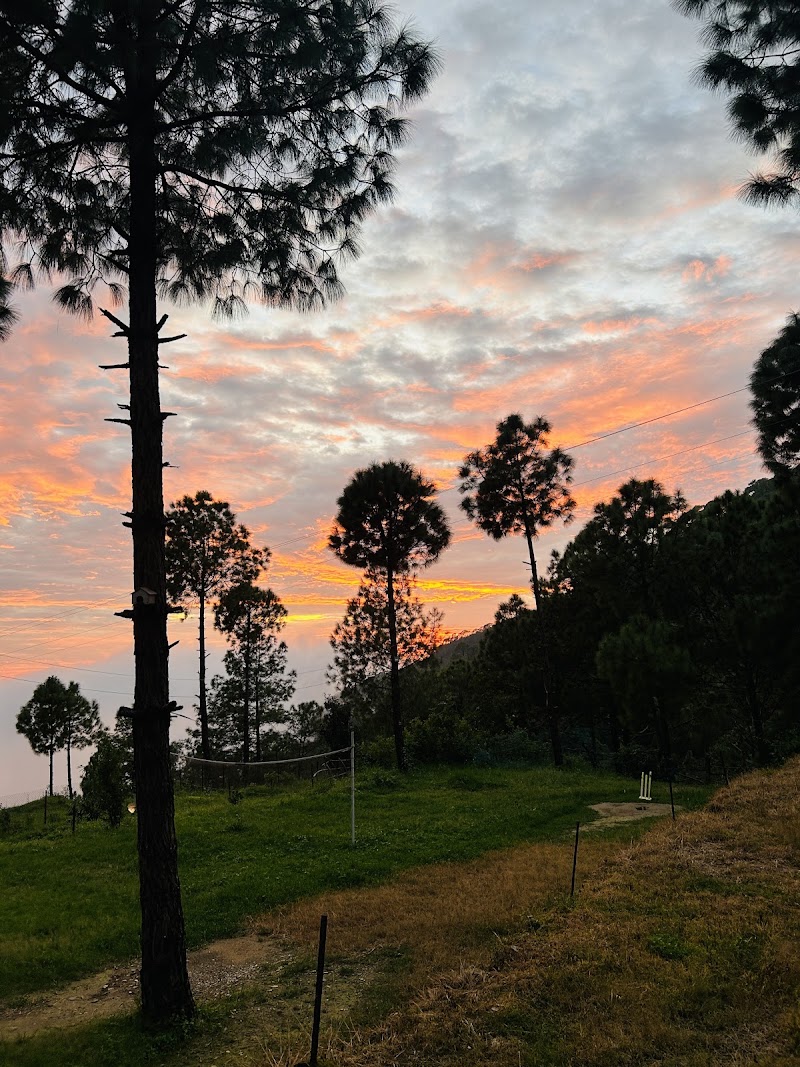 Ghughuti Resorts, Lansdowne - Ghughuti Resorts, Lansdowne, Kotdwar - Lansdowne Rd, Gounu, Uttarakhand 246155, India