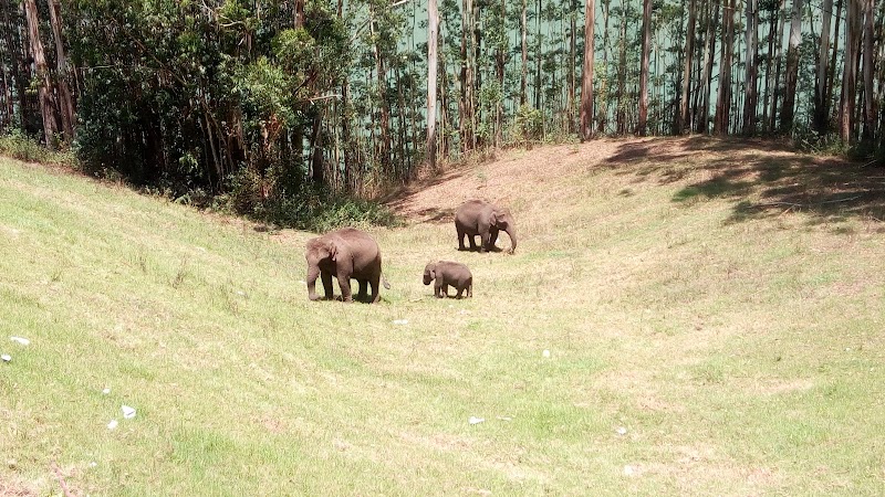 Mattupetty - Mattupetty, Munnar, Kerala 685612, India