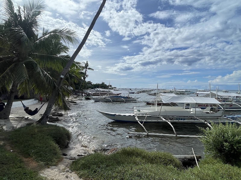 🪸 Island Hopping Tours Bohol Panglao - 🪸 Island Hopping Tours Bohol Panglao, Daorong Blvd, Danao, Panglao, 6320 Bohol, Philippines