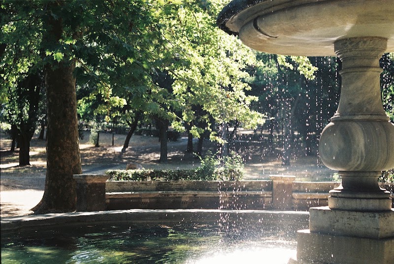 Fountain of the Seahorses - Fountain of the Seahorses, Viale dei Cavalli Marini, 00197 Roma RM, Italy