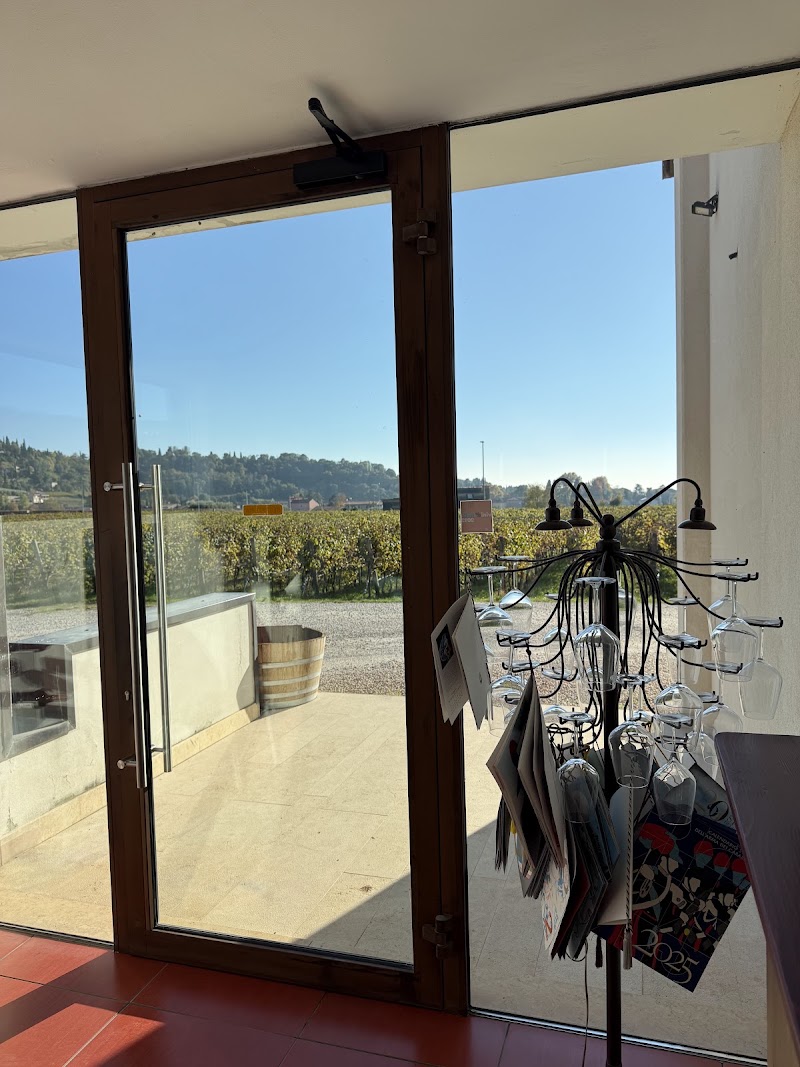 SCAIA WINE-SHOP: It looks like Wine, It feels like Community. - SCAIA WINE-SHOP: It looks like Wine, It feels like Community., Via Ceriani, 23, 37030 Colognola ai Colli VR, Italy