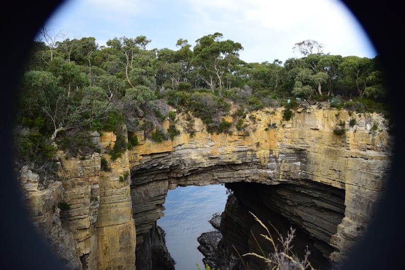 Tasmans Arch Road - Tasmans Arch Road, Tasmans Arch Rd, Eaglehawk Neck TAS 7179, Australia