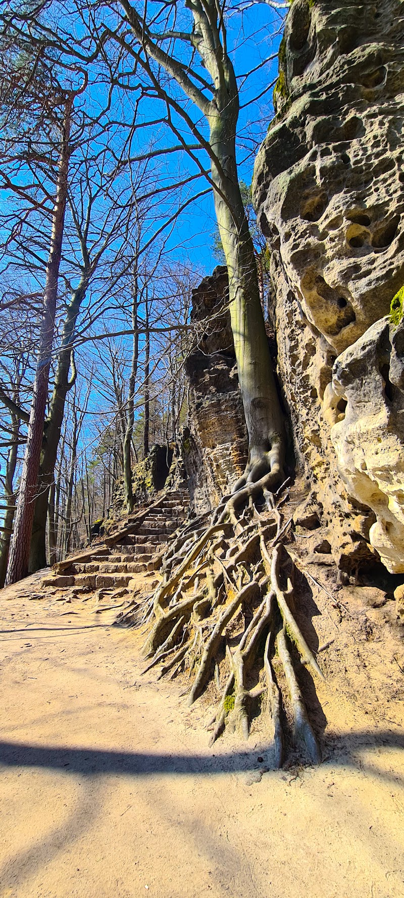 Pravčický důl - Pravčický důl, Unnamed Road, 405 02 Hřensko-Děčín 2, Czechia