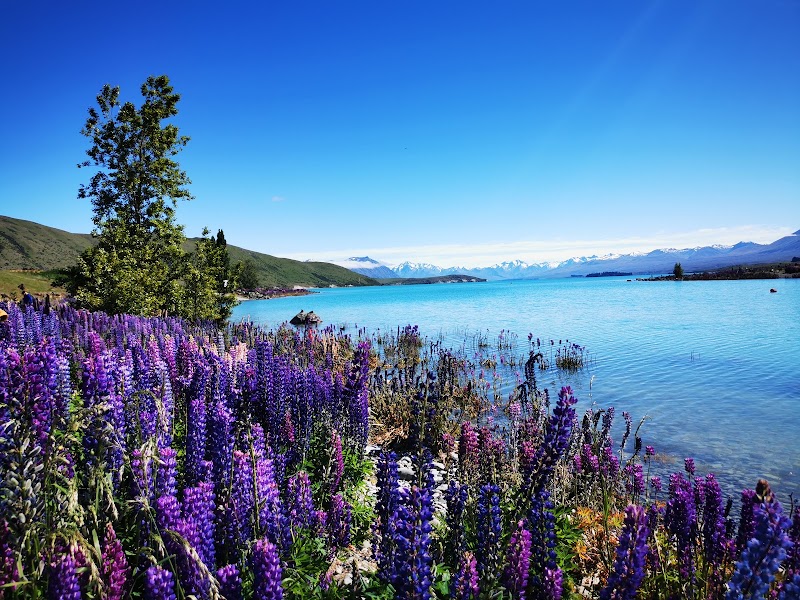 The Church of the Good Shepherd - The Church of the Good Shepherd Pioneer Drive, Lake Tekapo 7999, New Zealand