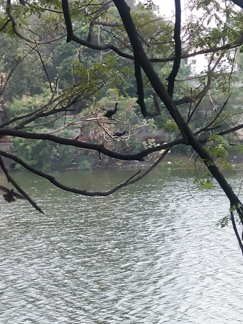 Puzhuthivakkam Lake - Puzhuthivakkam Lake 11/10, Elumalai Nagar, Annai Theresa Nagar, Adambakkam, Chennai, Tamil Nadu 600091, India
