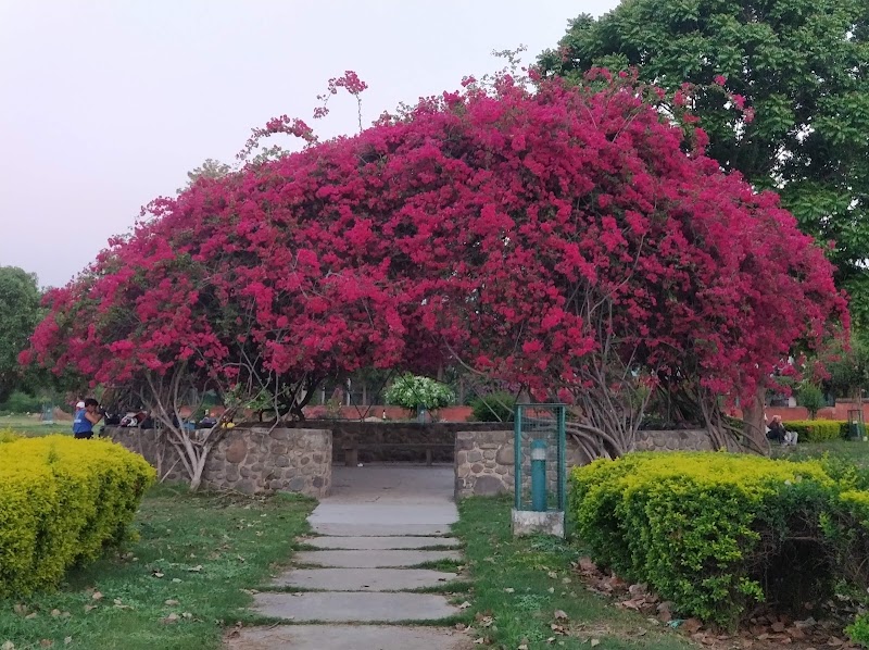 Bougainvillea Park