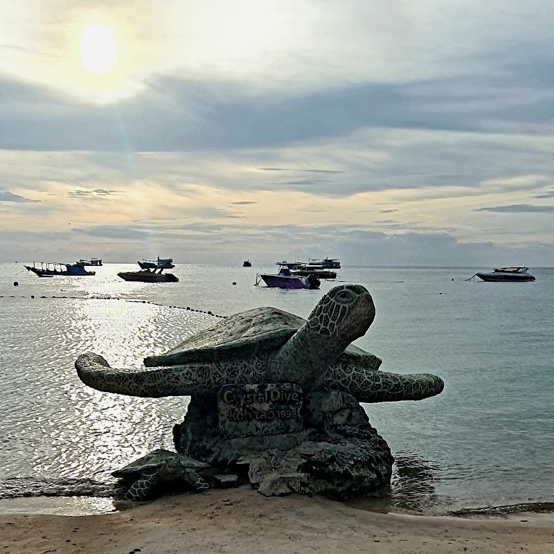 Mae Haad Pier - Mae Haad Pier 3RMF+WP6, Ko Tao, Ko Pha-ngan District, Surat Thani 84280, Thailand
