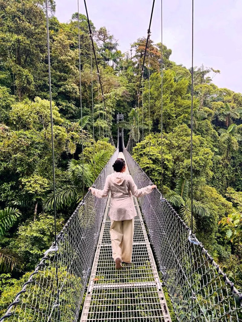 Tours Privados Arenal - Tours Privados Arenal, LAFORTUNA, jauri Alajuela jauri , fortuna Latitud 10.4556315, Longitud -84.6419520, Provincia de Alajuela, San Carlos, 21007, Costa Rica