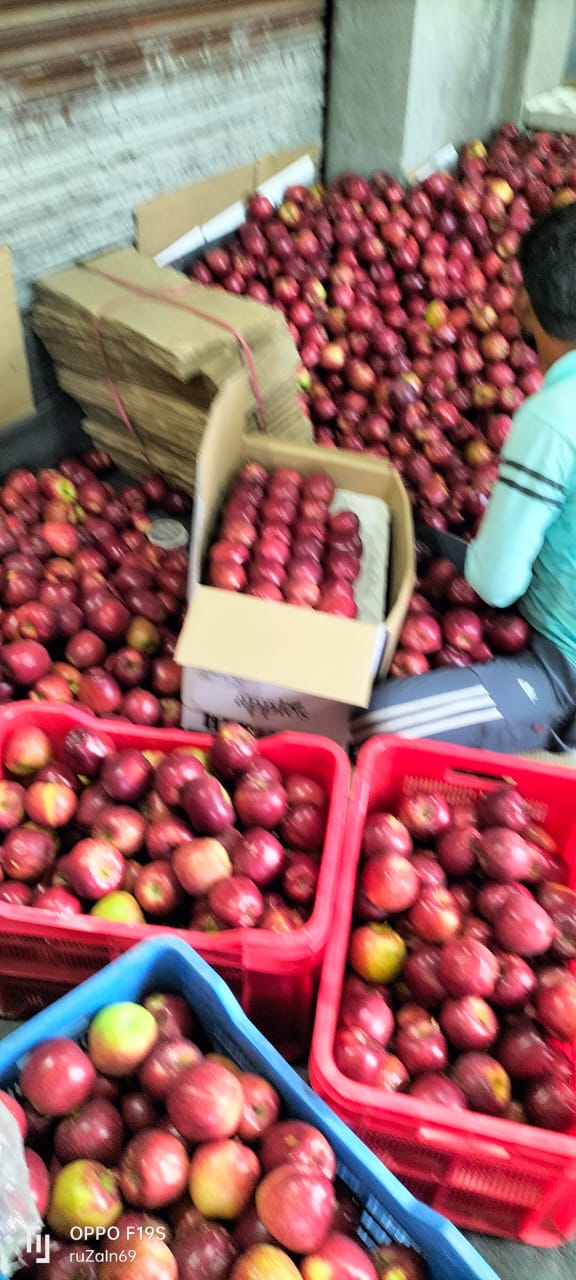 Kashmir Fruit Traders - Kashmir Fruit Traders Q46Q+W2P, Philomina Nagar, Thanjavur, Tamil Nadu 613006, India