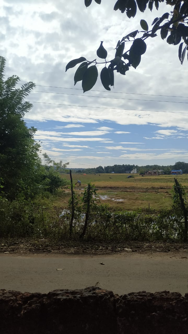 Sitai homestay - Sitai homestay Chivla, Malvan, Maharashtra 416606, India