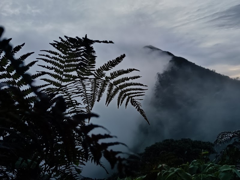 MUNNAR ADVENTURES BASE CAMP - MUNNAR ADVENTURES BASE CAMP, HML tea factory, Road, Suryanelli, Kerala 685618, India