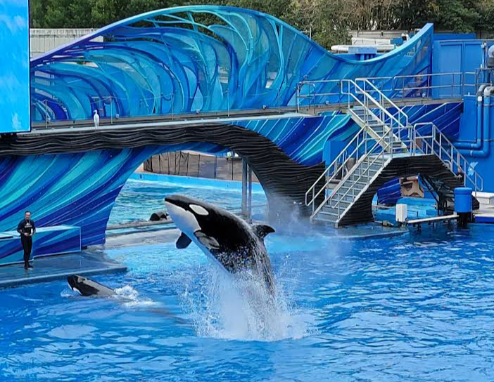 SeaWorld Orlando - SeaWorld Orlando 7007 Sea World Dr, Orlando, FL 32821, USA