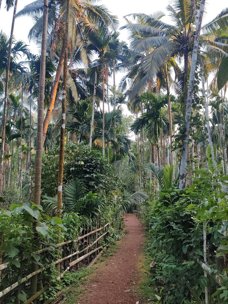 Sahakari Spice Farm - Sahakari Spice Farm C26G+23G, Panjim - Belagavi Main Rd, Curti, Ponda, Goa 403401, India