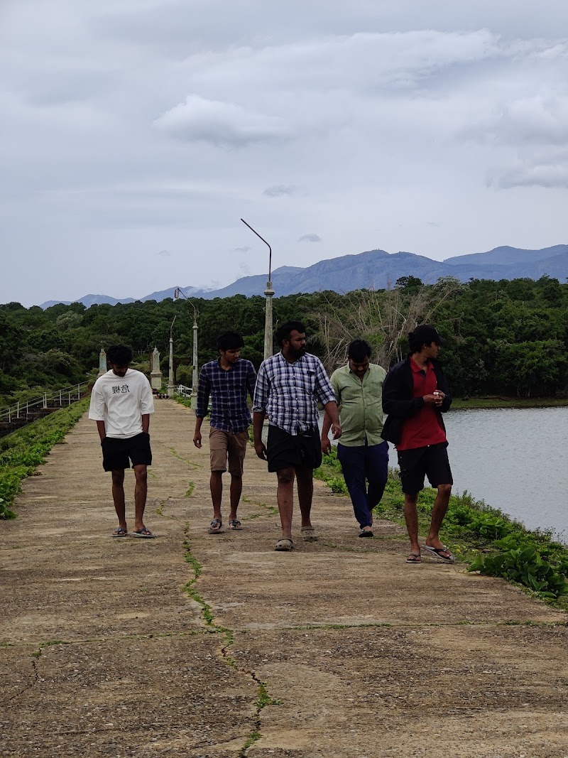 Maravakandy dam - Maravakandy dam HMF2+HQ, Masinagudi, Tamil Nadu 643223, India