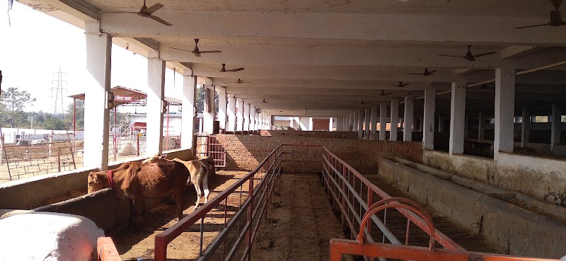 Shree Agrasen Gau Seva Samiti Kanberi - Shree Agrasen Gau Seva Samiti Kanberi, Unnamed Road, 7MPV+P4H, Chhattisgarh 495454, India