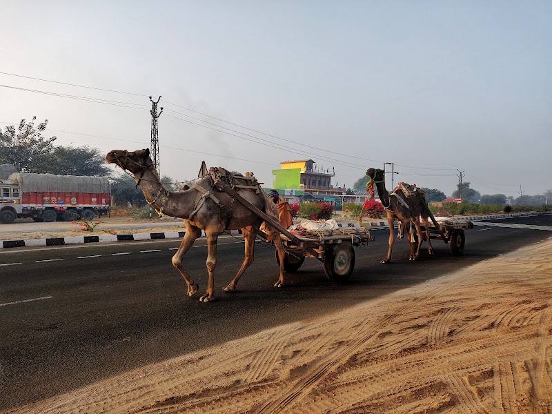 Jaipur - Delhi Expressway - Jaipur - Delhi Expressway Jaipur - Delhi Expy, Jaipur, Rajasthan, India