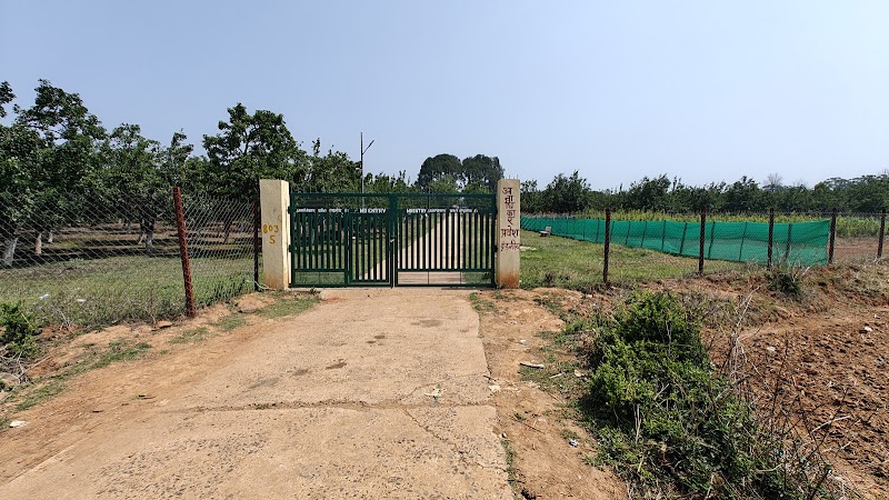 Naspati bagan (dankan)