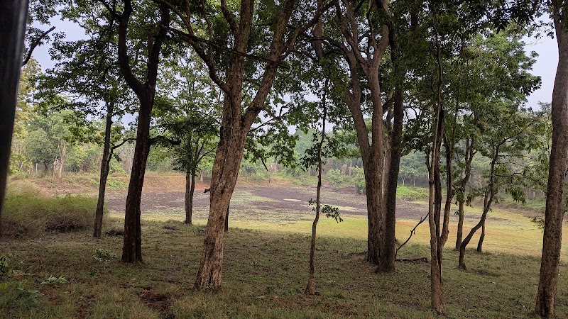 K Gudi. - K Gudi., W43C+GVW, B.R.Hills, Karnataka 571342, India