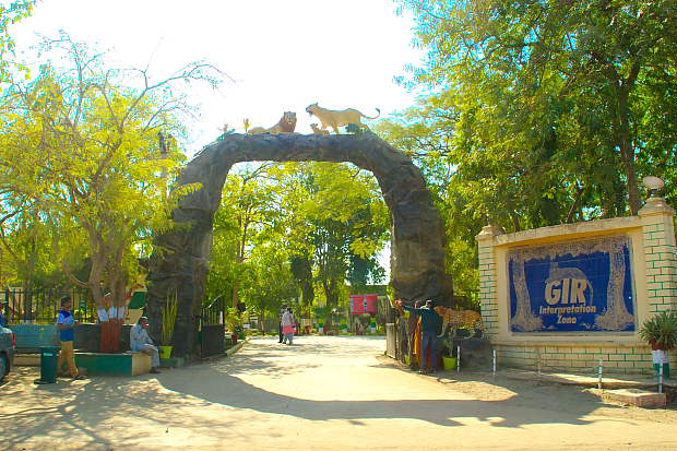 Gir Interpretation Zone (Devaliya Park) - Gir Interpretation Zone (Devaliya Park), Safari Rd, Sandhbeda, Gujarat 362260, India