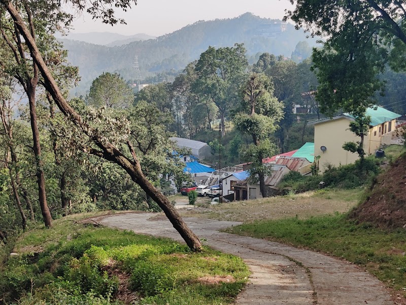 Jaihari Jungle Homestay - Jaihari Jungle Homestay, Jaiharikhal, Uttarakhand 246193, India