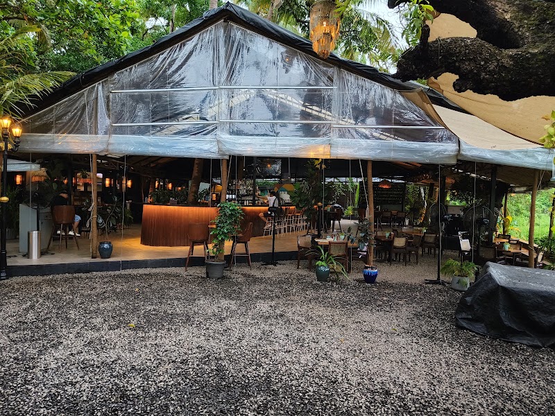 Elephant and Co. Anjuna, Goa - Elephant and Co. Anjuna, Goa House no, Survey no. 16/1, Grand Pedder Field, 1049/2, Grande Peddem, Anjuna, Goa 403509, India