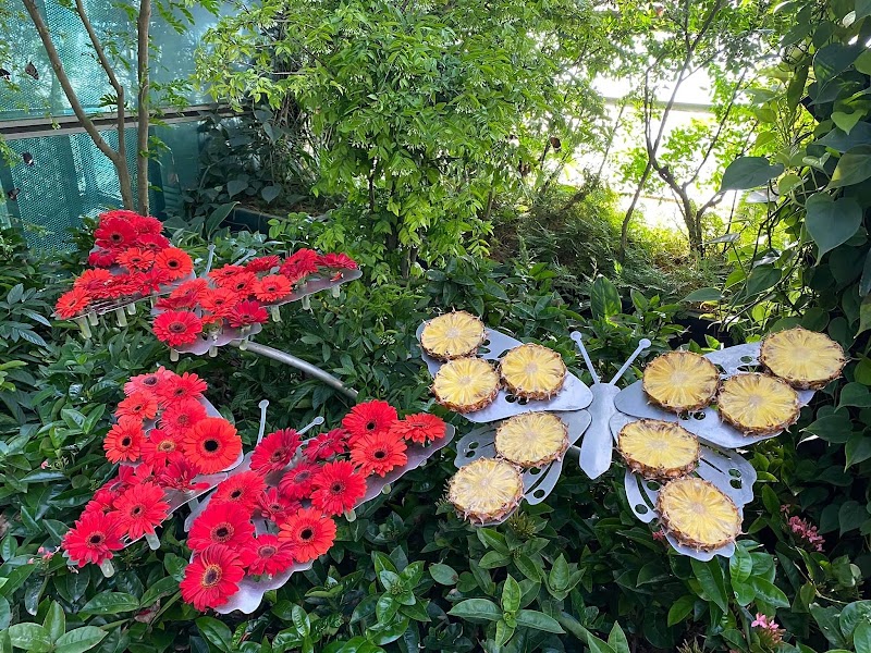 Butterfly Garden - Butterfly Garden 70 Airport Blvd., Singapore 819661