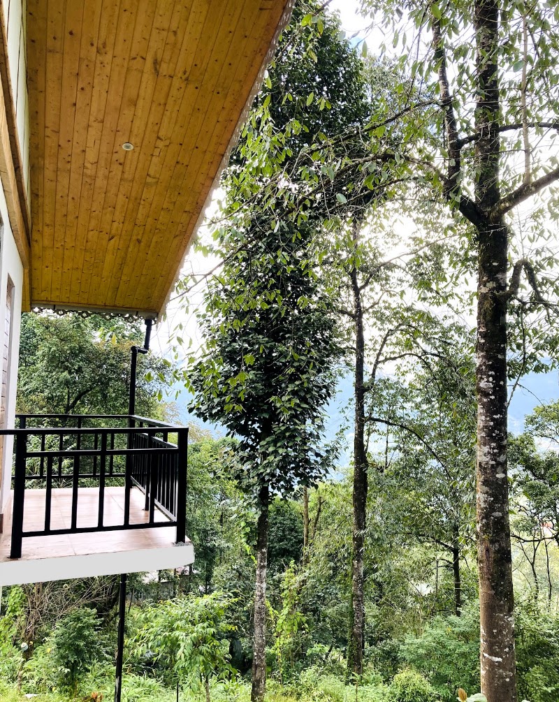 Kaya Gantavya Resort & Spa | Pelling - Kaya Gantavya Resort & Spa | Pelling Pelling-Rimbi Rd, Pelling City, Sikkim 737113, India